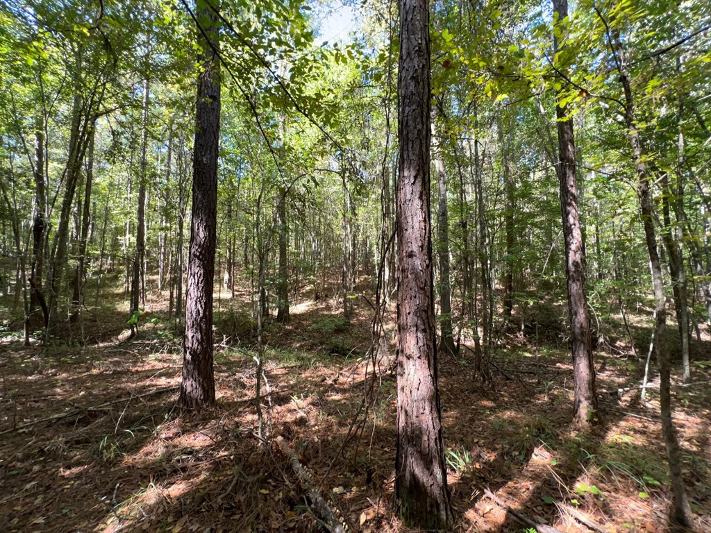 1 Hwy 84 Roxie Ms 39661 Roxie, MS 39661 - Photo 15 of 25 Photo 15
