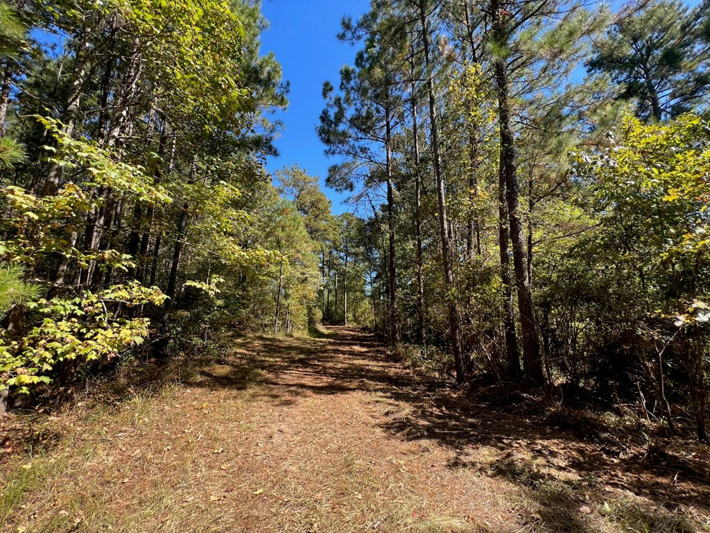 1 Hwy 84 Roxie Ms 39661 Roxie, MS 39661 - Photo 2 of 25 Photo 2
