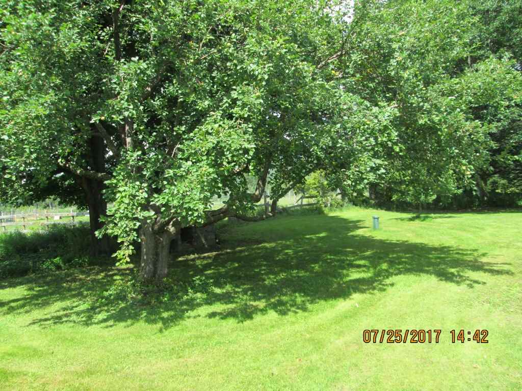 7182 River Road Lemington, VT 05903 - Photo 21 of 26