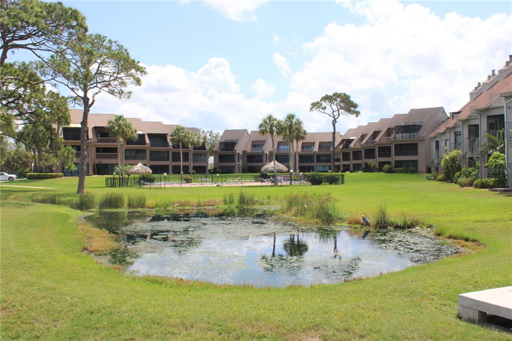 335 Windrush Loop, Unit 335 Tarpon Springs, FL 34689 - Photo 15 of 18 a view of a swimming pool and a yard
