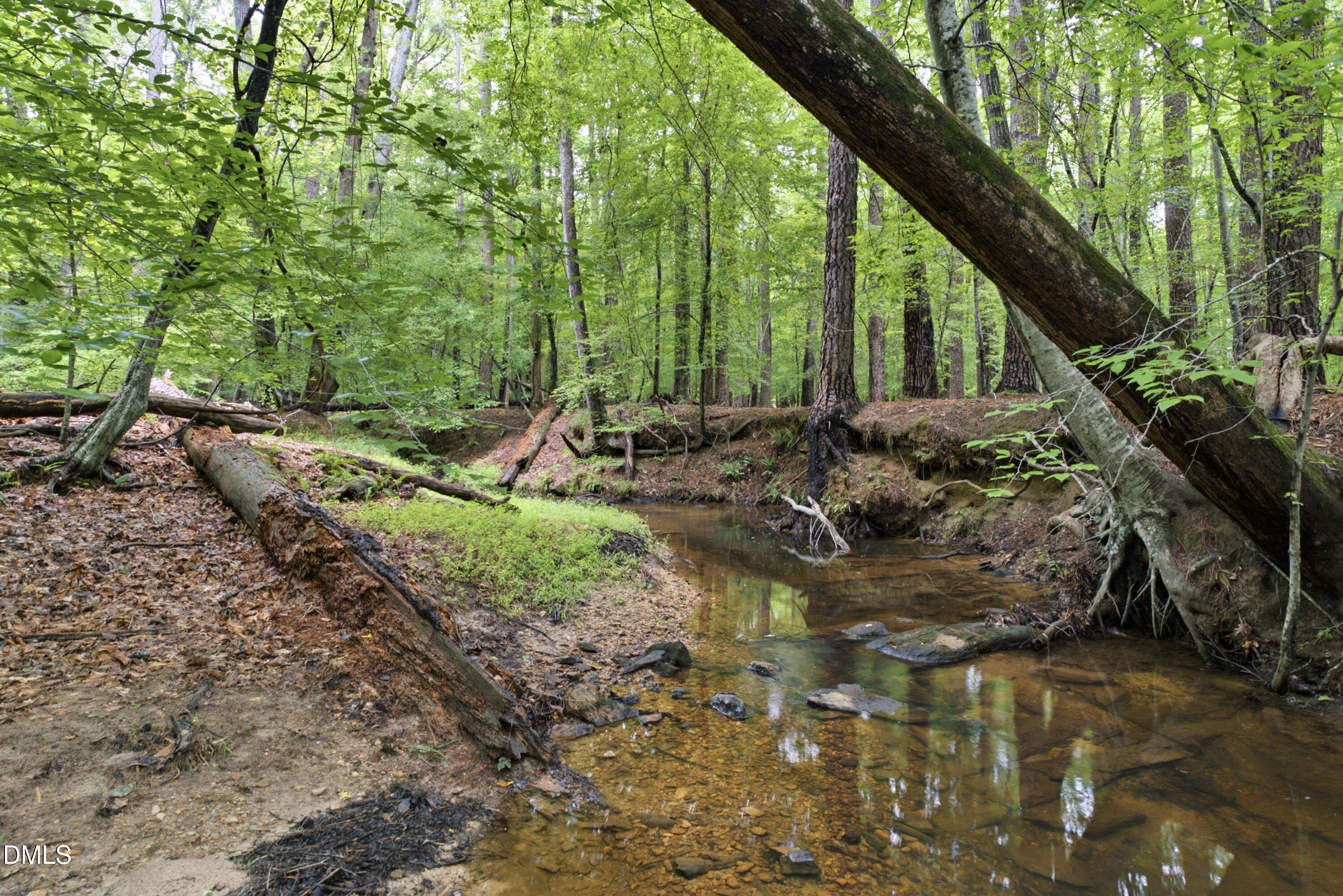 421 Swans Mill Crossing Raleigh, NC 27614 - Photo 56 of 69 Backyard Creek