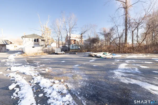 a view of a yard with trees