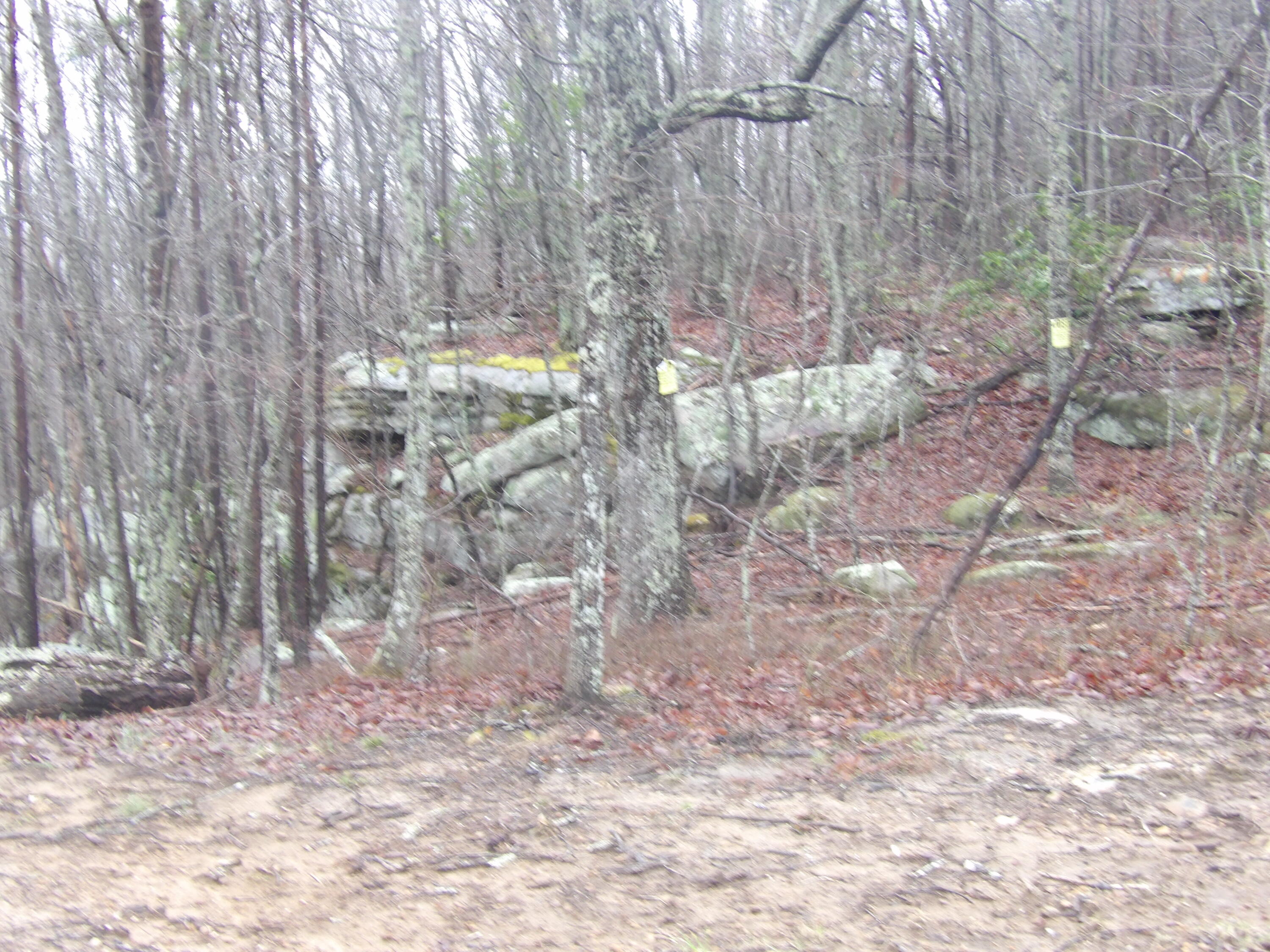 109 West Hames Road Pikeville, TN 37367 - Photo 39 of 59 100_4153