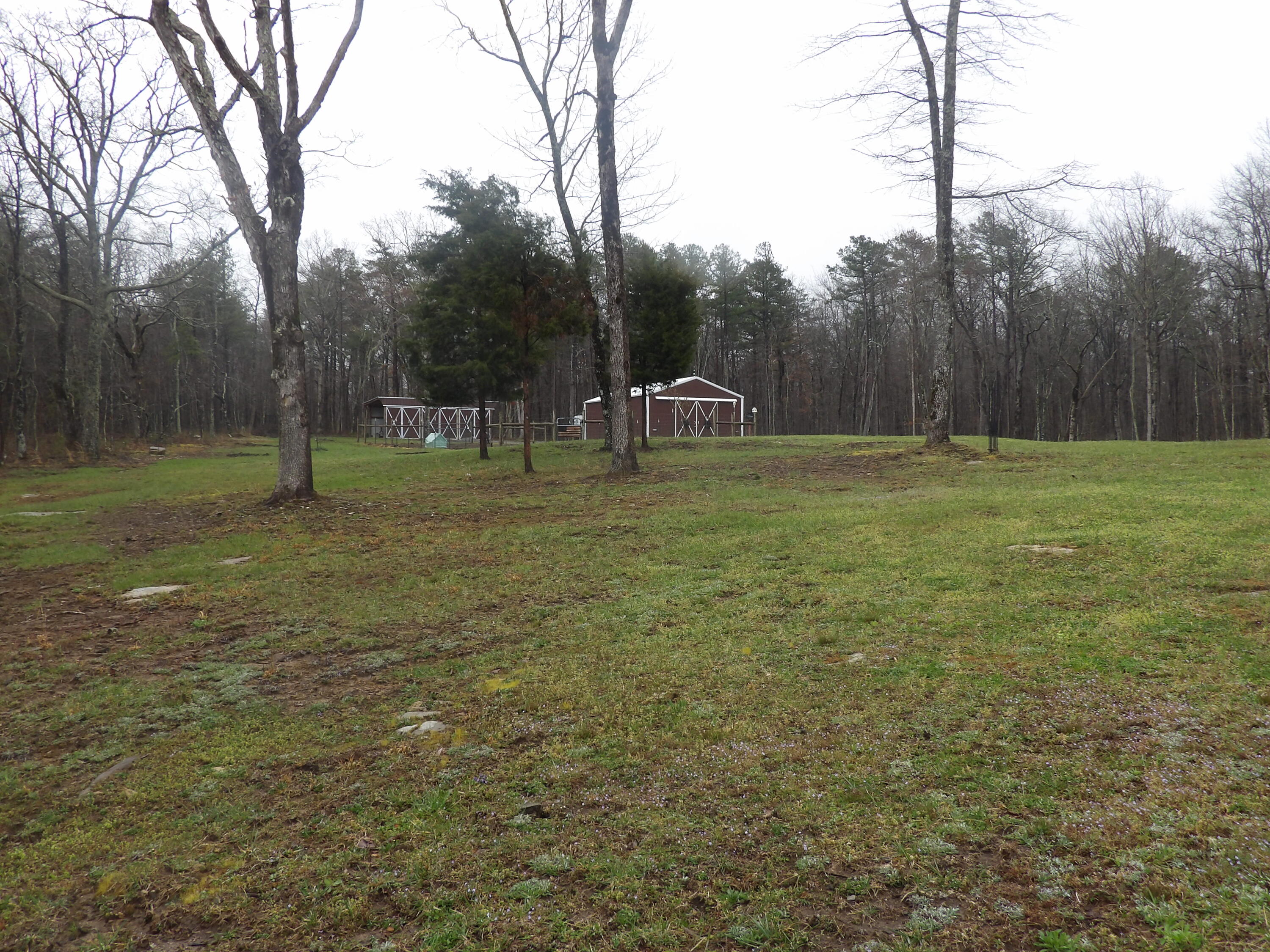 109 West Hames Road Pikeville, TN 37367 - Photo 40 of 59 100_4154