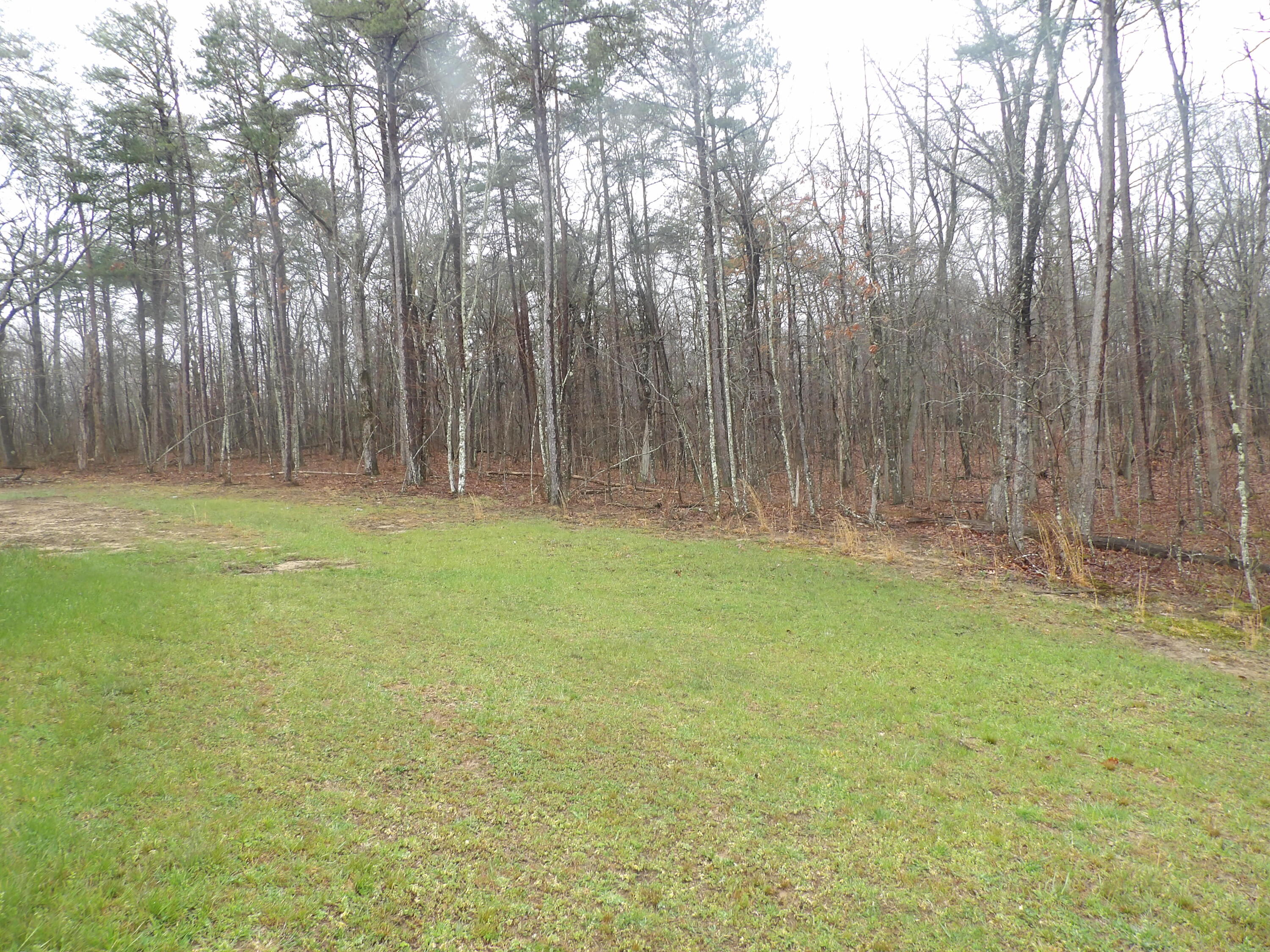 109 West Hames Road Pikeville, TN 37367 - Photo 52 of 59 100_4164
