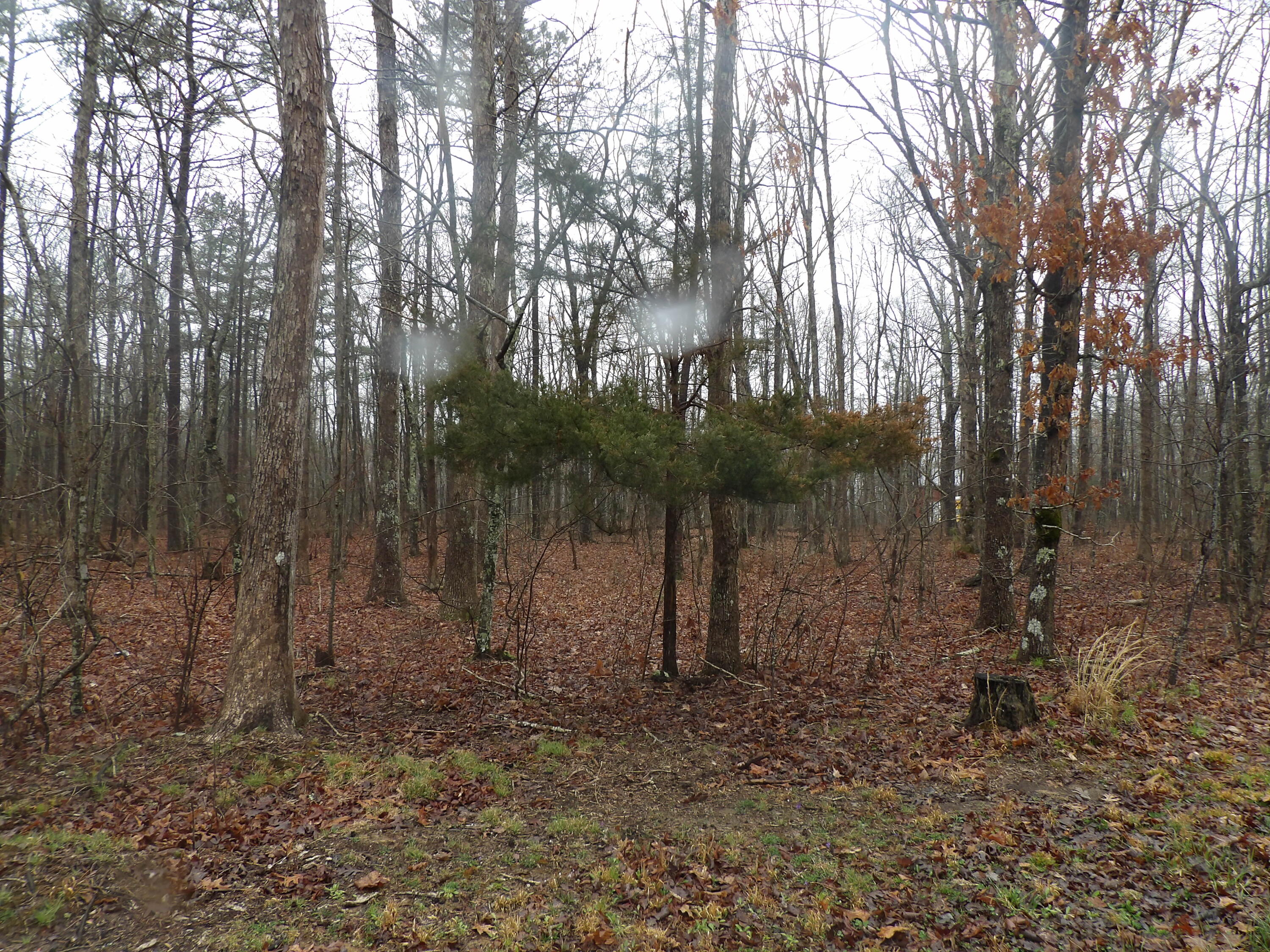 109 West Hames Road Pikeville, TN 37367 - Photo 54 of 59 100_4168