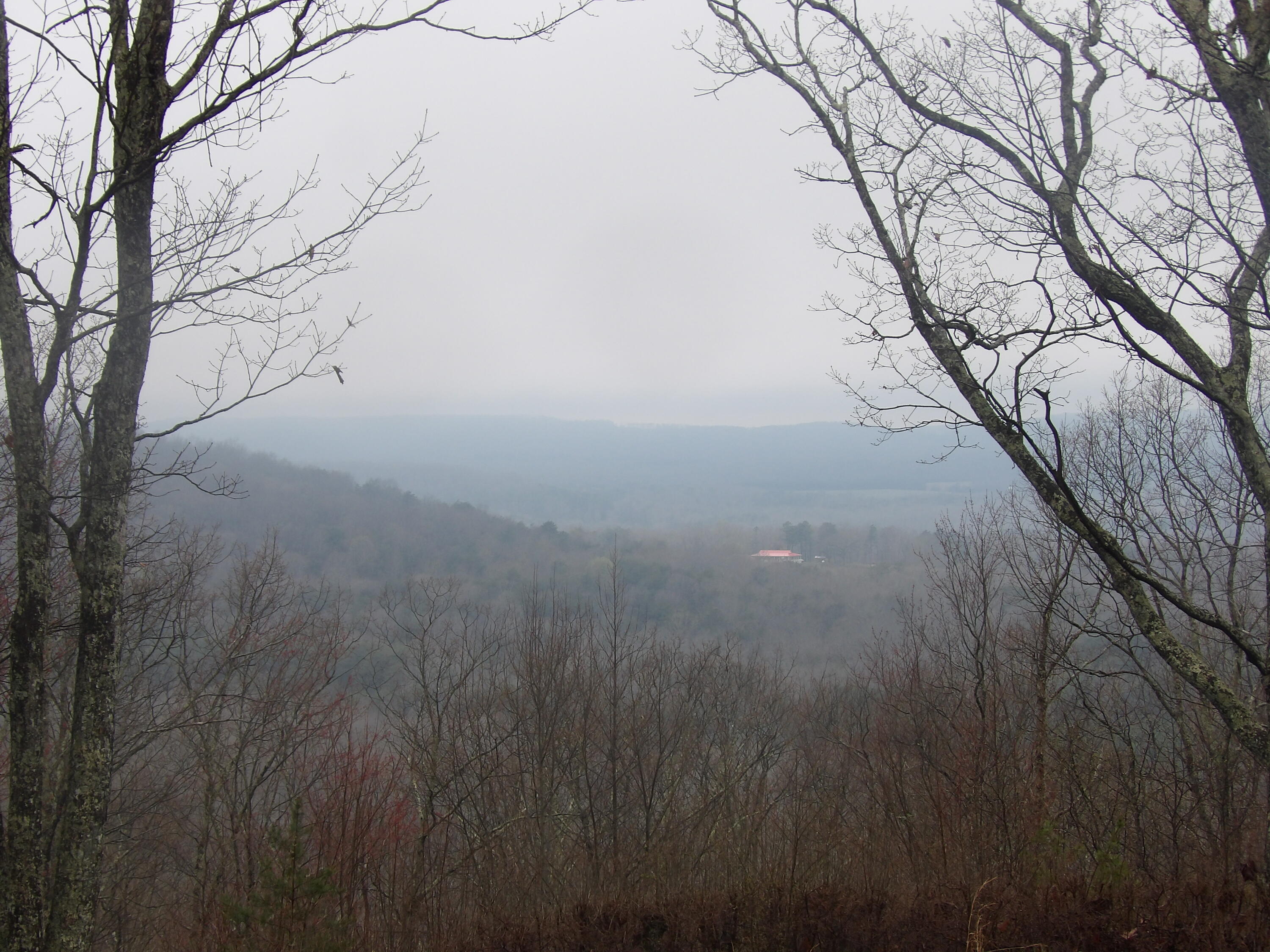 109 West Hames Road Pikeville, TN 37367 - Photo 55 of 59 100_4169