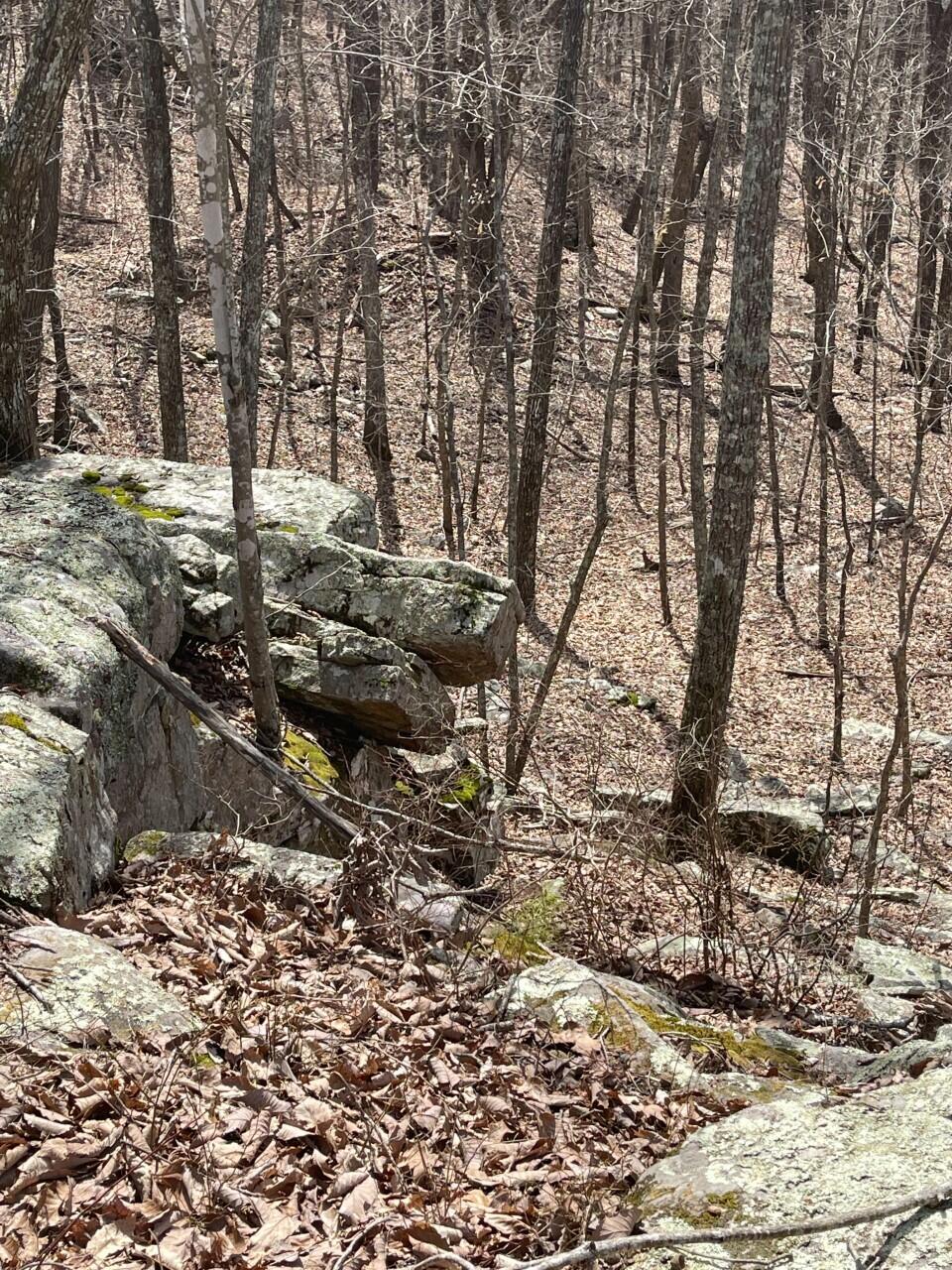 109 West Hames Road Pikeville, TN 37367 - Photo 57 of 59 thumbnail_IMG_0435