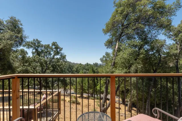 a view of a backyard with plants and large trees