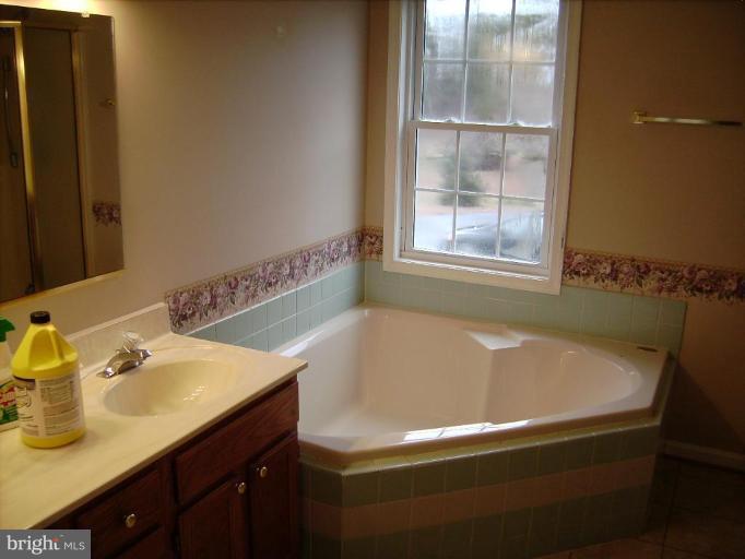 6024 Towles Mill Road Partlow, VA 22534 - Photo 3 of 11 a bathroom with a sink and a bathtub