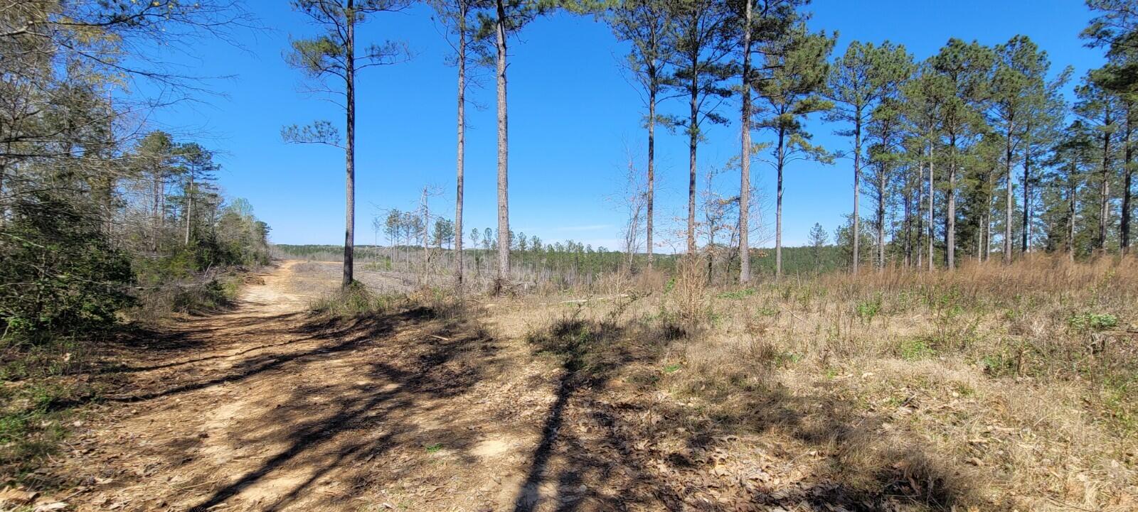 0 Sam Hodges Road Hodges, SC 29653 - Photo 10 of 10