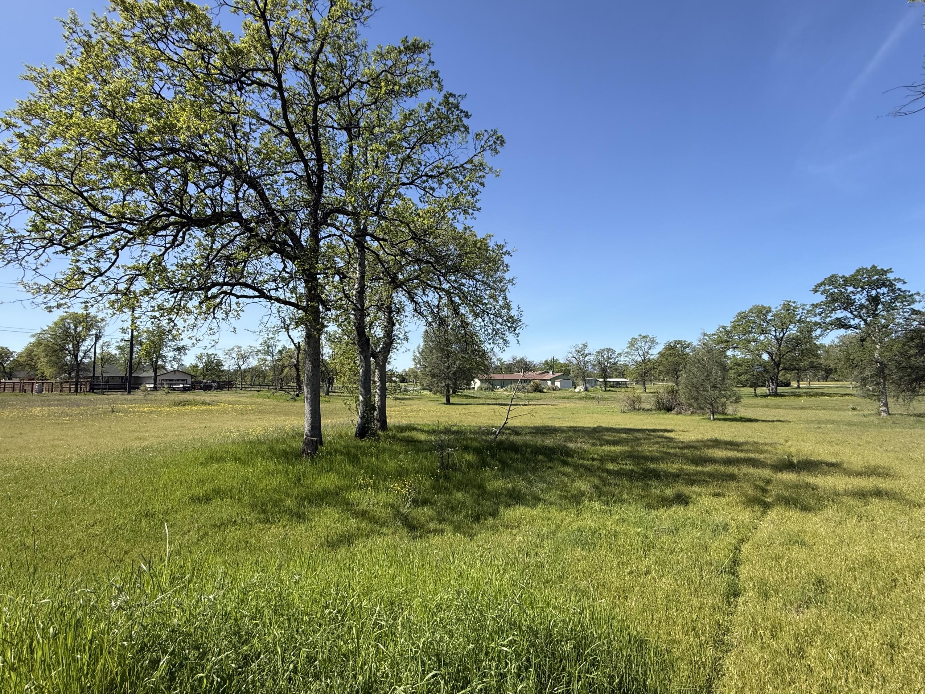 21752 Hidden Acres Road Bella Vista, CA 96003 - Photo 5 of 12 IMG_0304