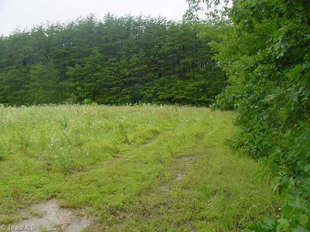 X1 Carson Road Pilot Mountain, NC 27041 - Photo 2 of 7 Other. Approx 1.2 Acres of Open Land