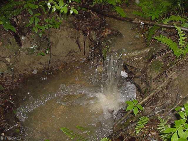X1 Carson Road Pilot Mountain, NC 27041 - Photo 6 of 7 Other. Small Stream runs through property
