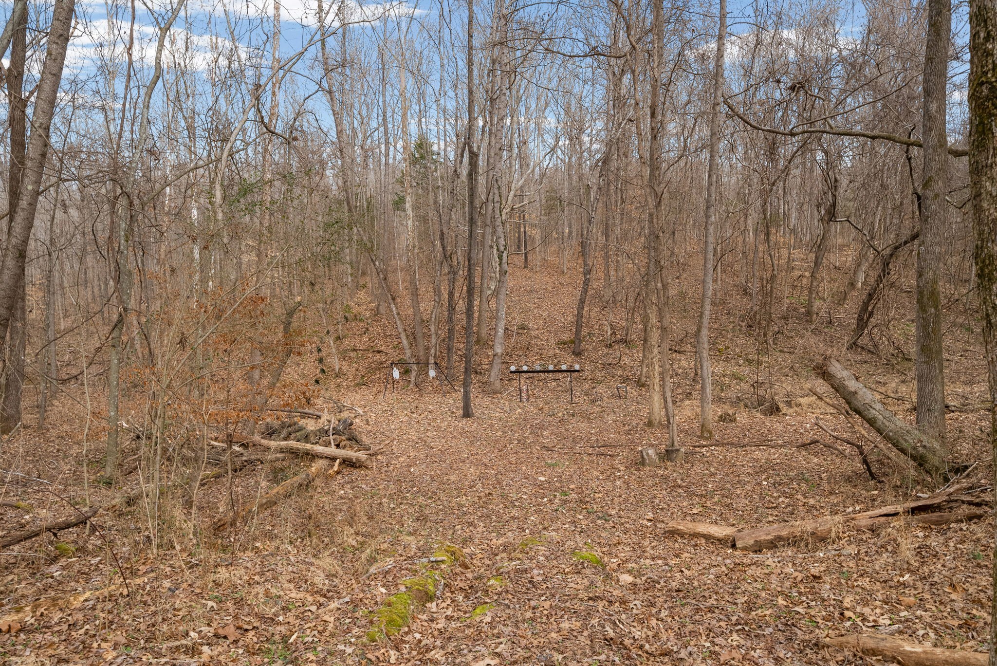 4313 Hargrove Marable Road Palmyra, TN 37142 - Photo 45 of 60
