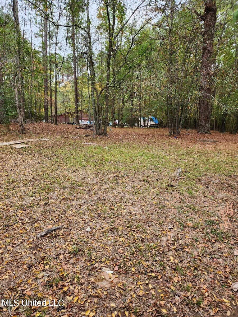 1055 McCluer Road Jackson, MS 39212 - Photo 6 of 14 MCCLUER YARD