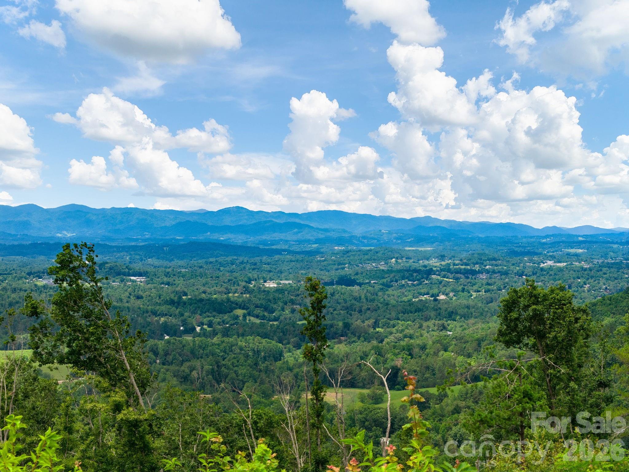 46 Perennial Ridge Weaverville, NC 28787 - Photo 3 of 44
