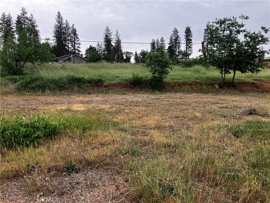 1318 Pearson Road Paradise, CA 95969 - Photo 9 of 9