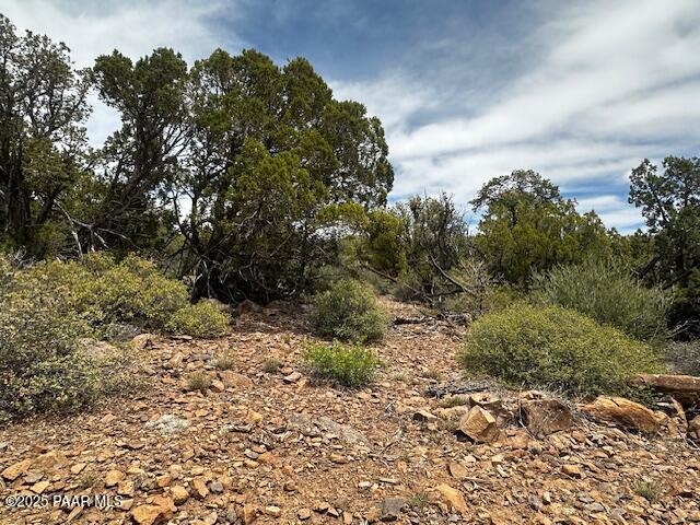 0 Shiloh Road Seligman, AZ 86337 - Photo 37 of 37 IMG_8841