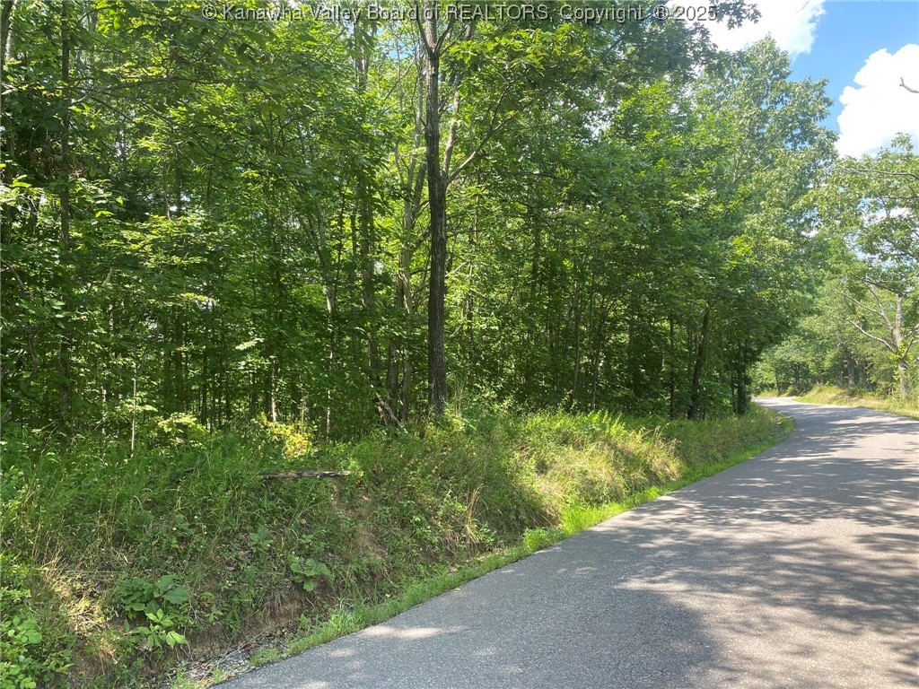 0 Kentuck Road Charleston, WV 25304 - Photo 2 of 2 Gallery Image 2