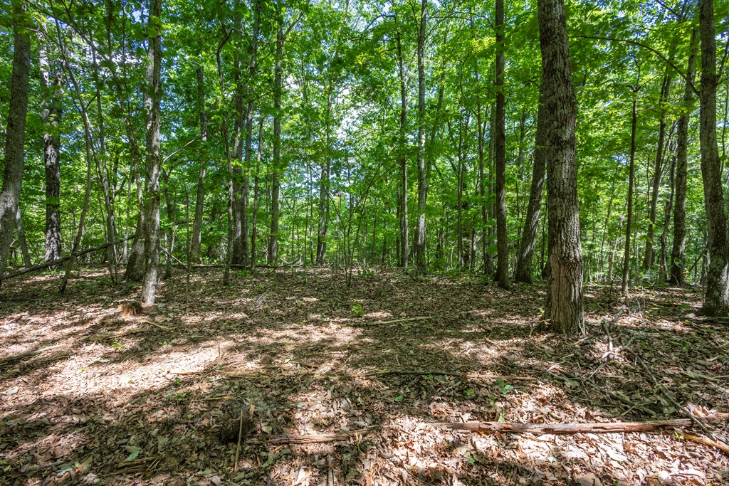20-ac Pack Mountain Road Murphy, NC 28906 - Photo 12 of 20