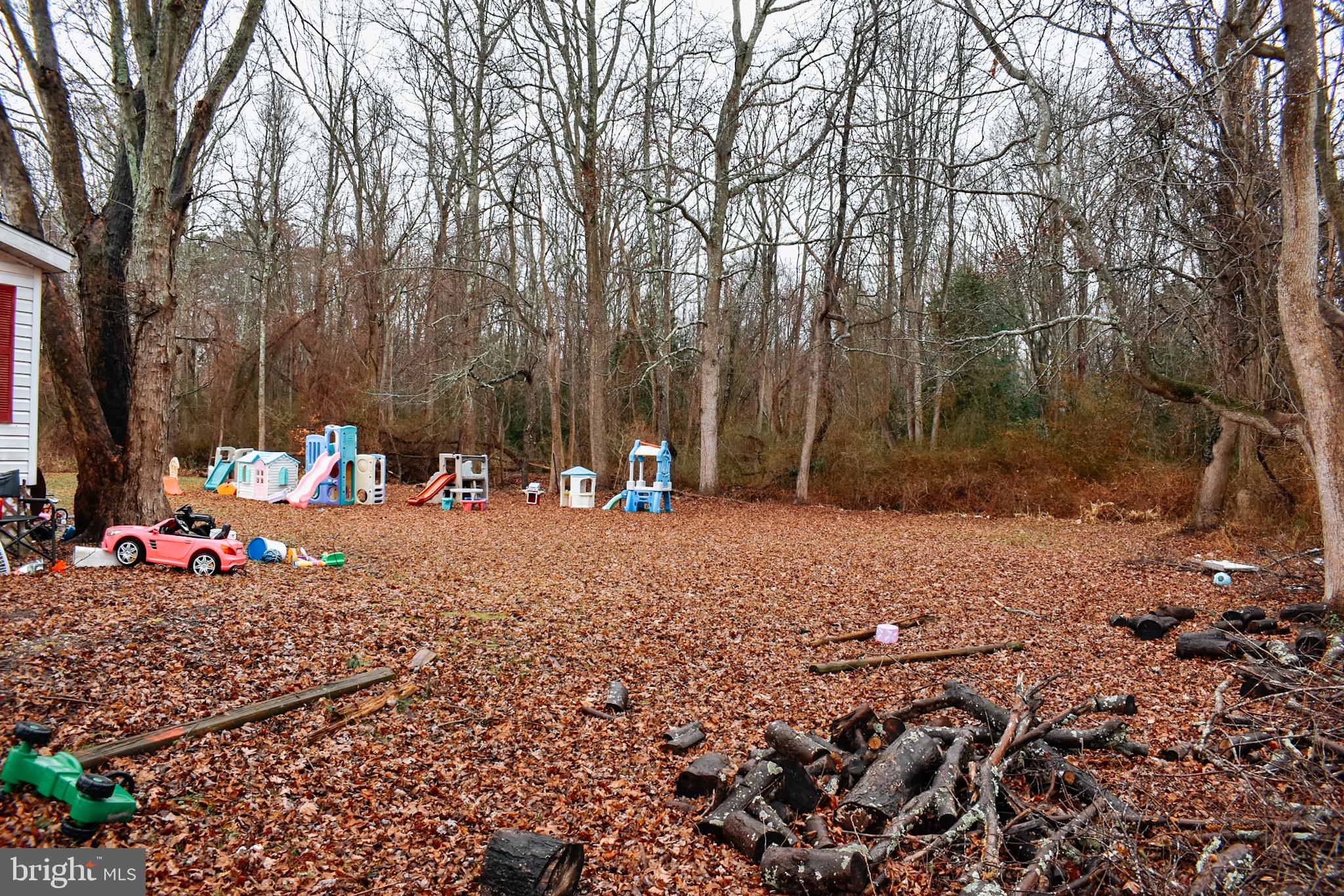 235 Main Street Heislerville, NJ 08324 - Photo 25 of 28 yard