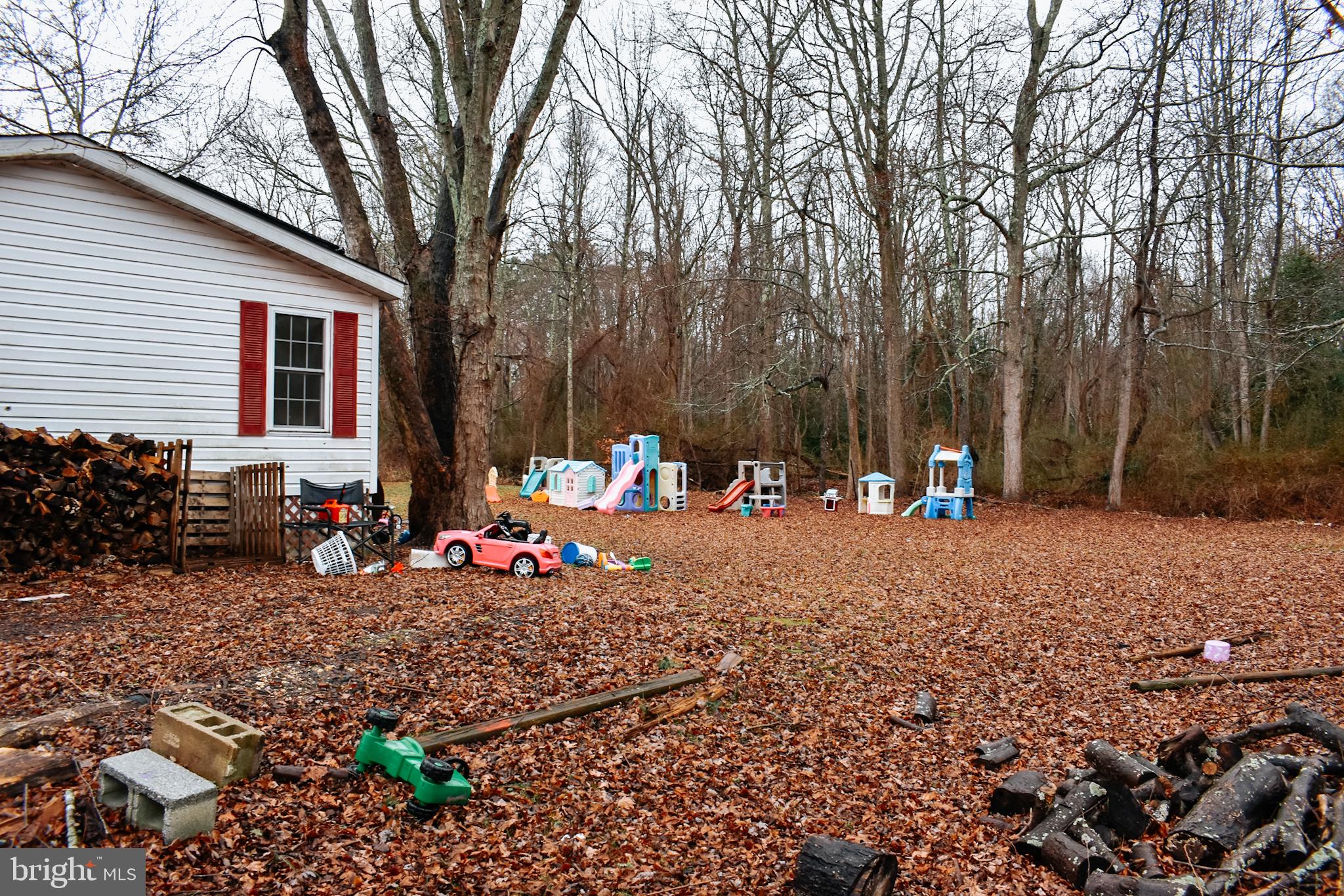 235 Main Street Heislerville, NJ 08324 - Photo 26 of 28 yard