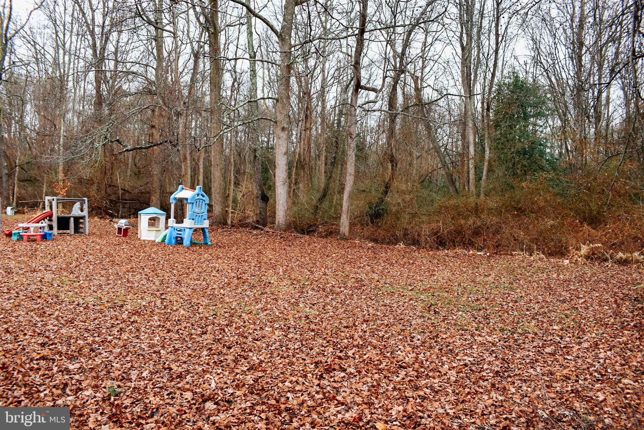 235 Main Street Heislerville, NJ 08324 - Photo 27 of 28 yard