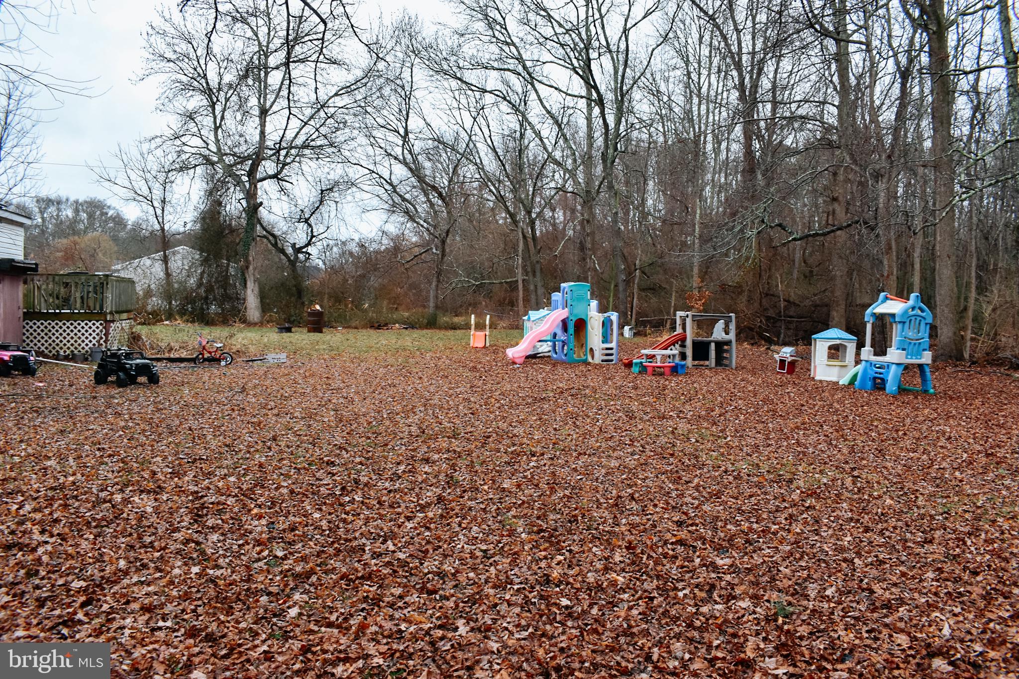 235 Main Street Heislerville, NJ 08324 - Photo 28 of 28 yard