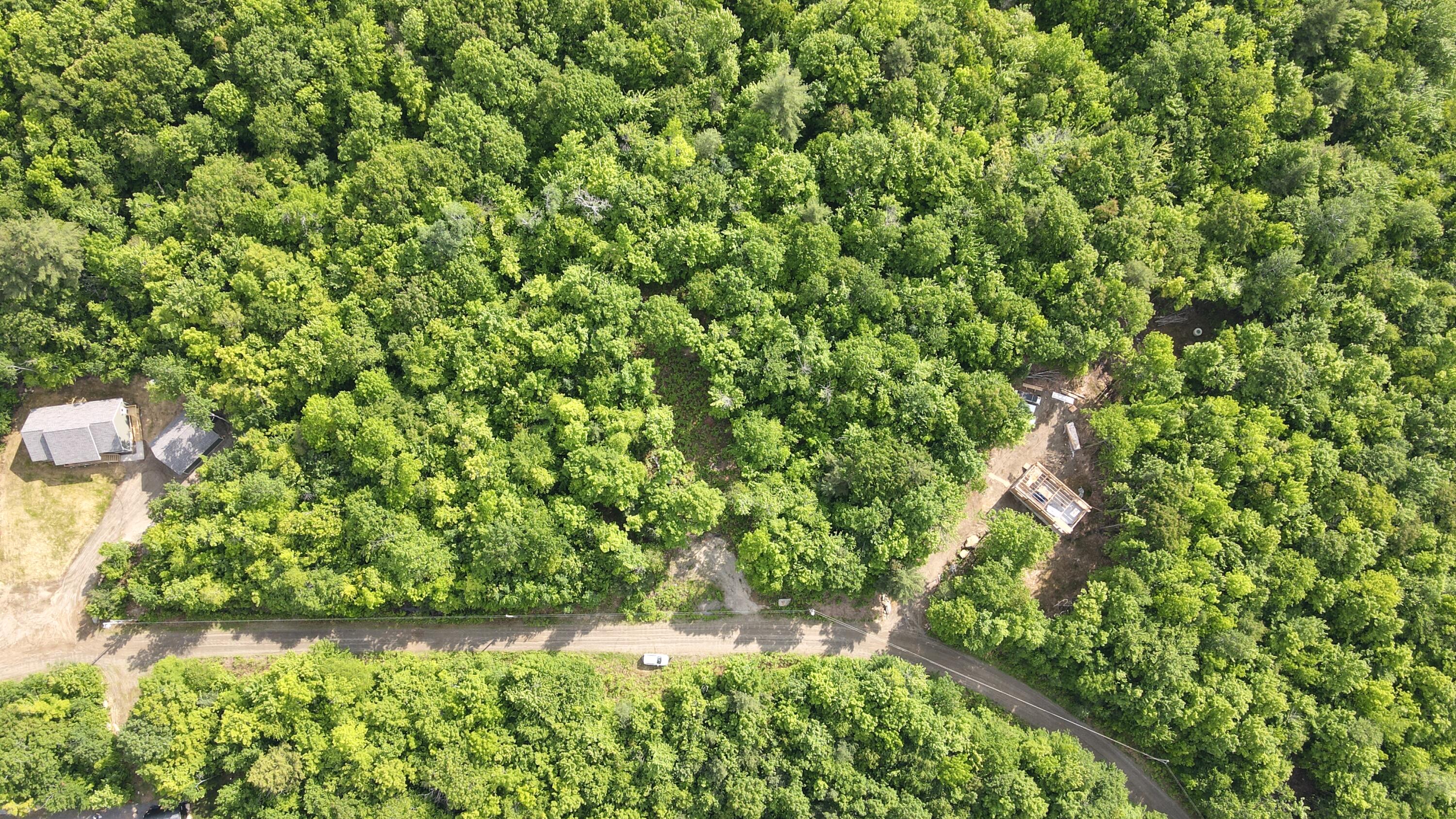 Lot #4 Mooseley Ridge Road Phillips, ME 04966 - Photo 16 of 20