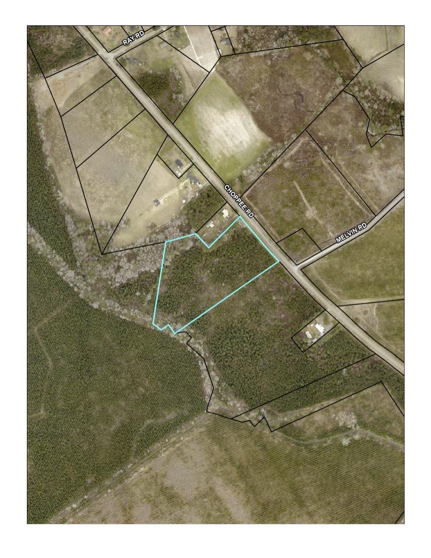 19241 Choppee Road Hemingway, SC 29554 - Photo 1 of 1 Aerial overview of property's location