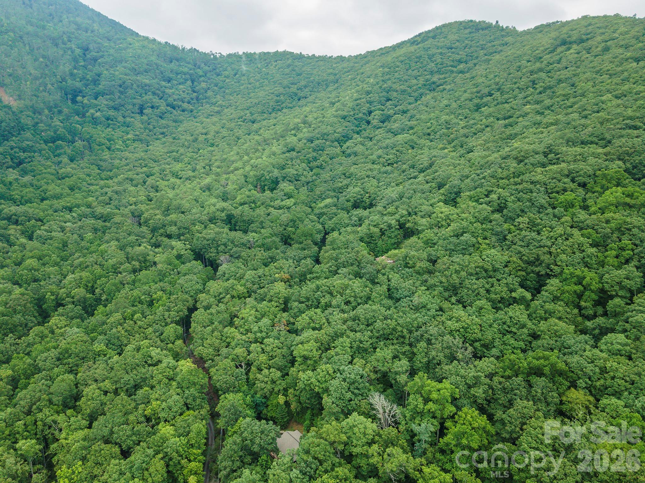 Tbd Summer Haven Road, Unit 16 Swannanoa, NC 28778 - Photo 8 of 45