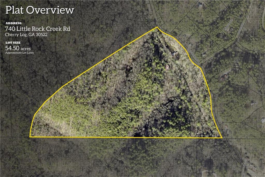 740 Little Rock Creek Road Cherry Log, GA 30522 - Photo 4 of 98