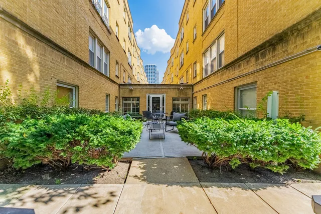 a view of a yard with large trees