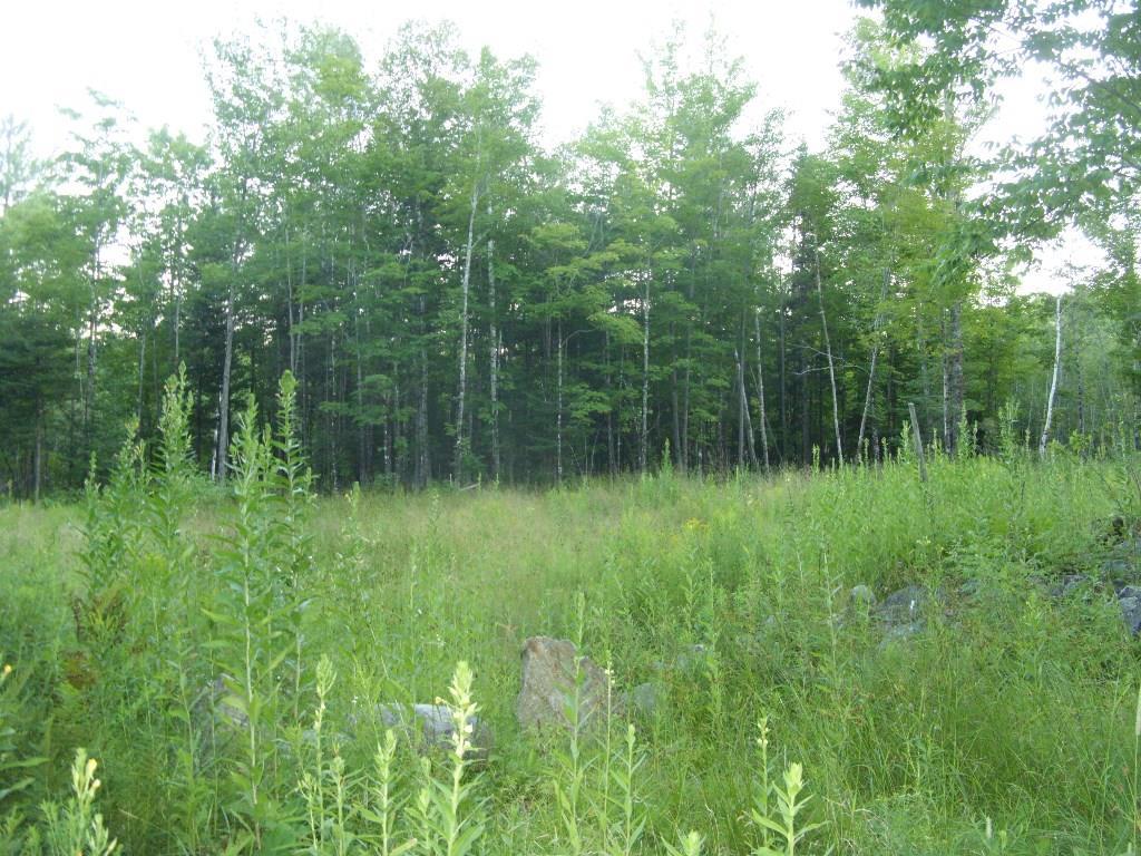 0 Leeman Road Abbot, ME 04406 - Photo 1 of 2 Photo