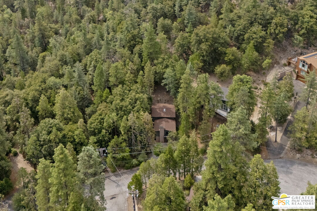 53615 Silver Fir Drive Idyllwild, CA 92549 - Photo 46 of 49 an aerial view of a house with a yard
