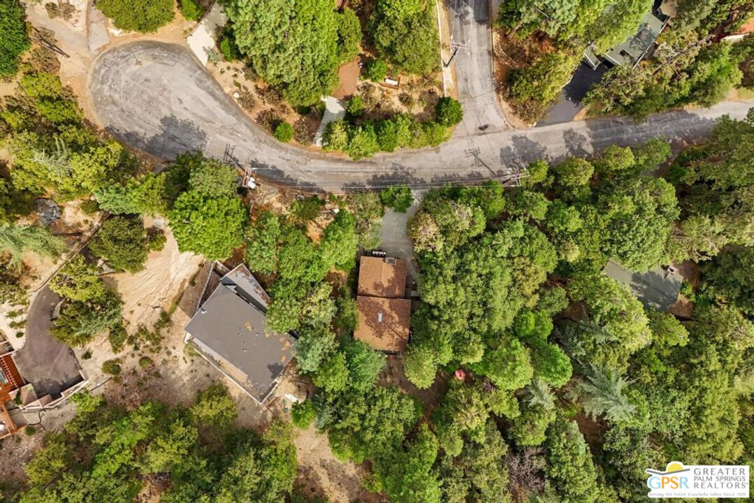 53615 Silver Fir Drive Idyllwild, CA 92549 - Photo 47 of 49 an aerial view of a house with a yard and large trees