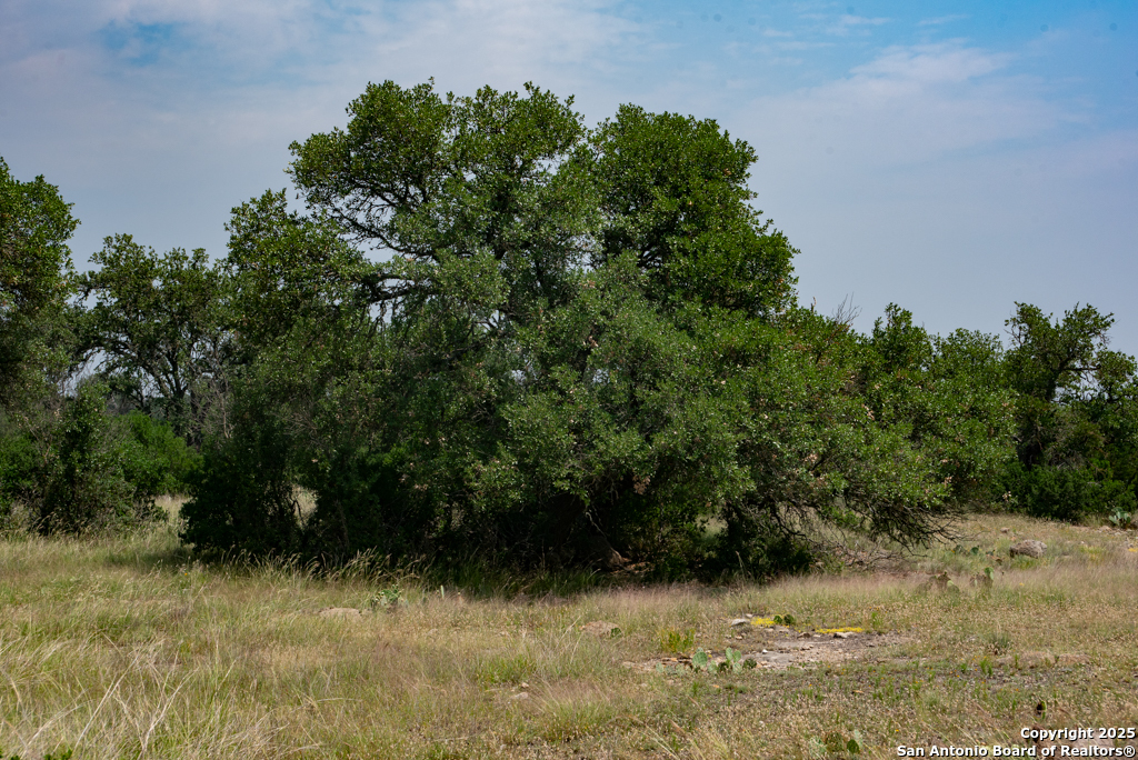 306 Fieldstone Johnson City, TX 78636 - Photo 19 of 31 a view of a yard
