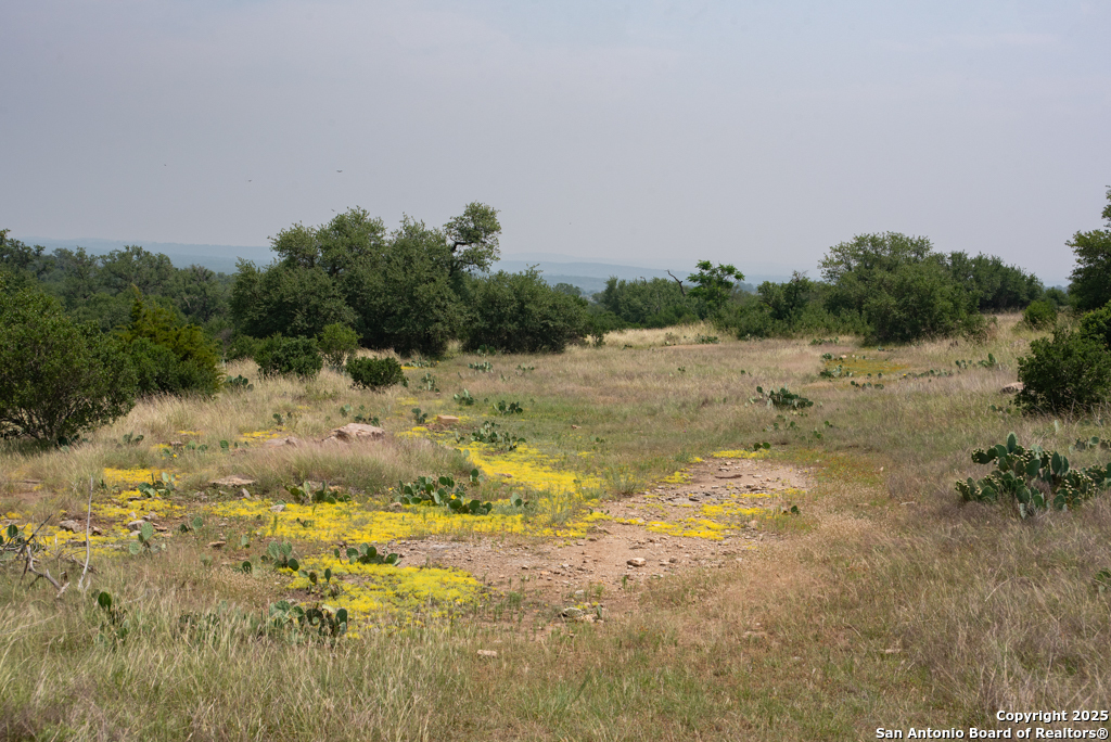 306 Fieldstone Johnson City, TX 78636 - Photo 21 of 31