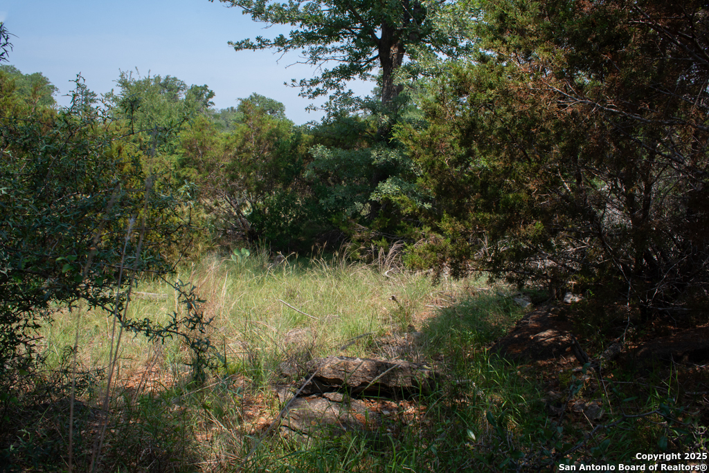306 Fieldstone Johnson City, TX 78636 - Photo 23 of 31 a view of a yard