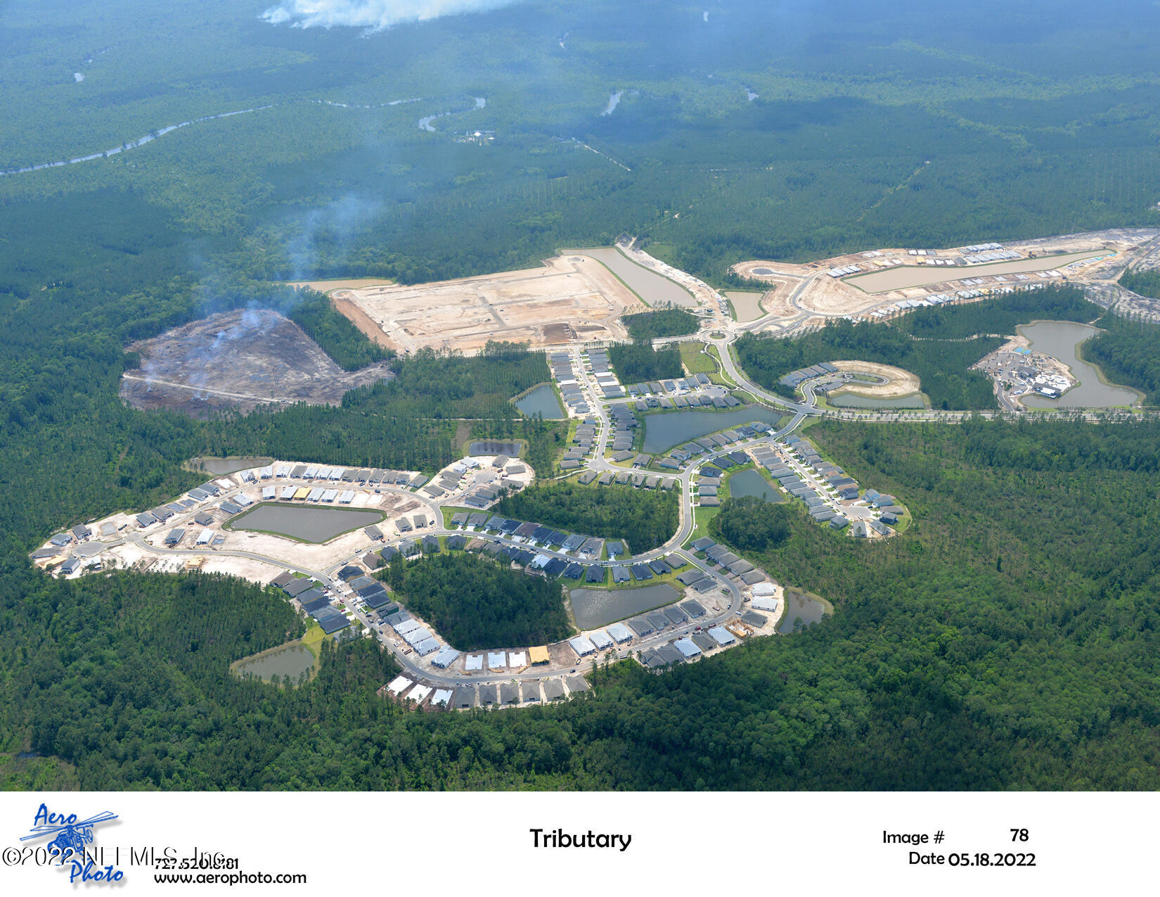 75302 Plumbago Trace Yulee, FL 32097 - Photo 5 of 44 Tributary DRF 2205189078