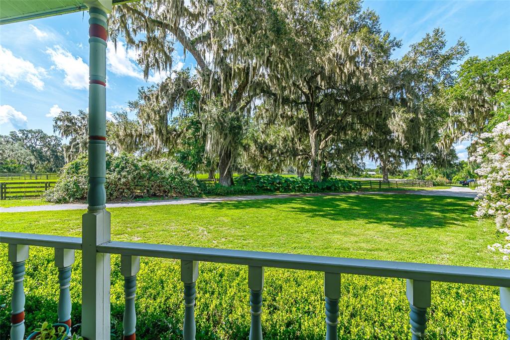 15795 Northwest 86th Avenue Reddick, FL 32686 - Photo 62 of 83 a view of green field with trees in the background