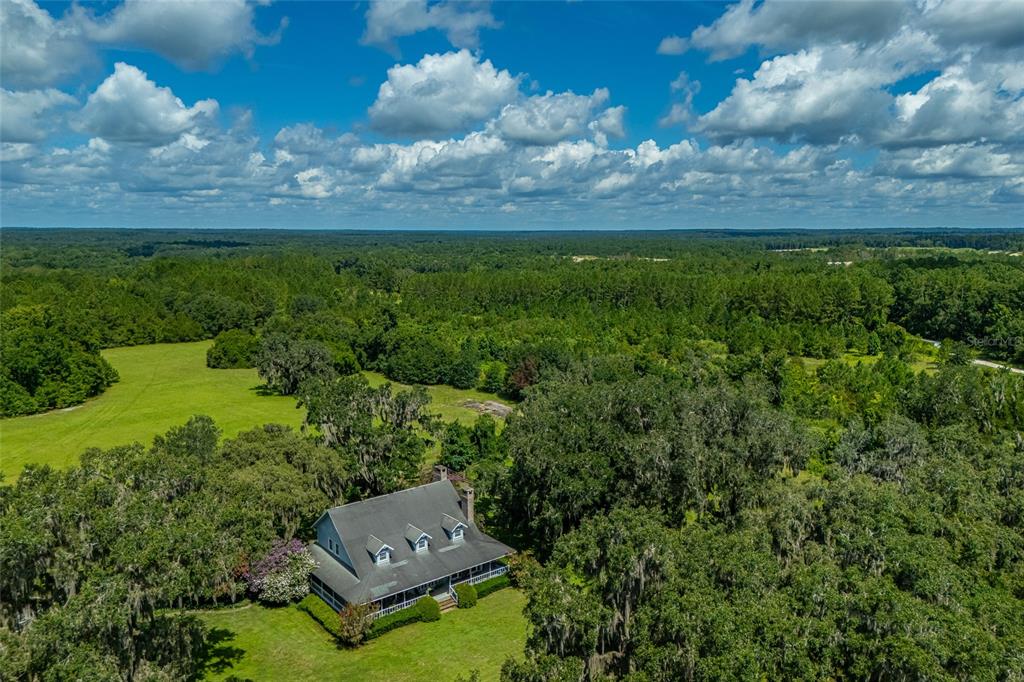 15795 Northwest 86th Avenue Reddick, FL 32686 - Photo 66 of 83 a view of a big yard with lots of green space