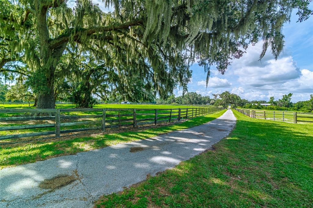 15795 Northwest 86th Avenue Reddick, FL 32686 - Photo 9 of 83 a view of a park with large trees