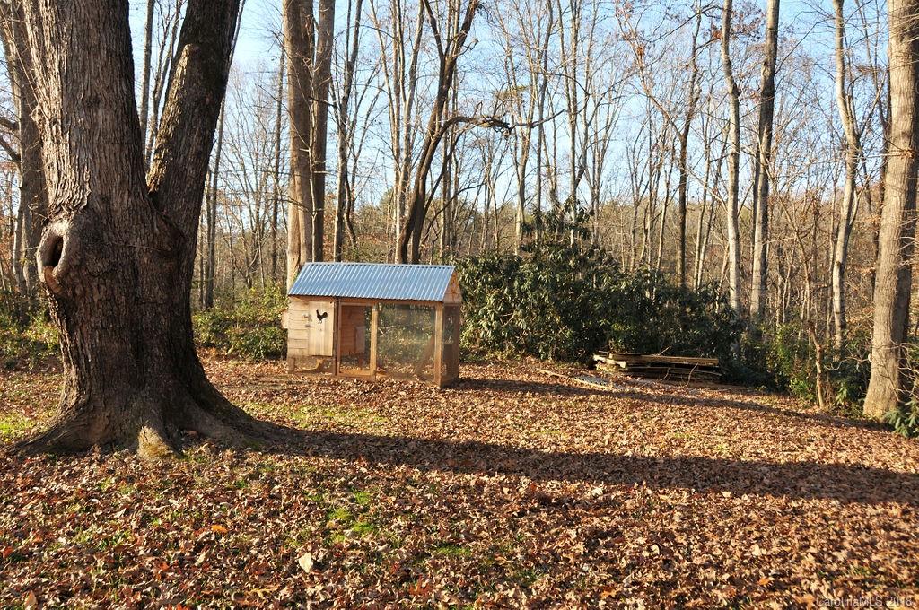 739 Lackey Town Road Old Fort, NC 28762 - Photo 16 of 29 Gallery Image 16