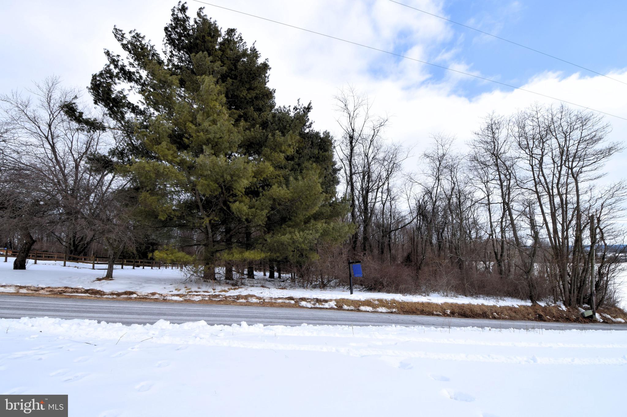 Bert Fowler Manchester, MD 21102 - Photo 3 of 8