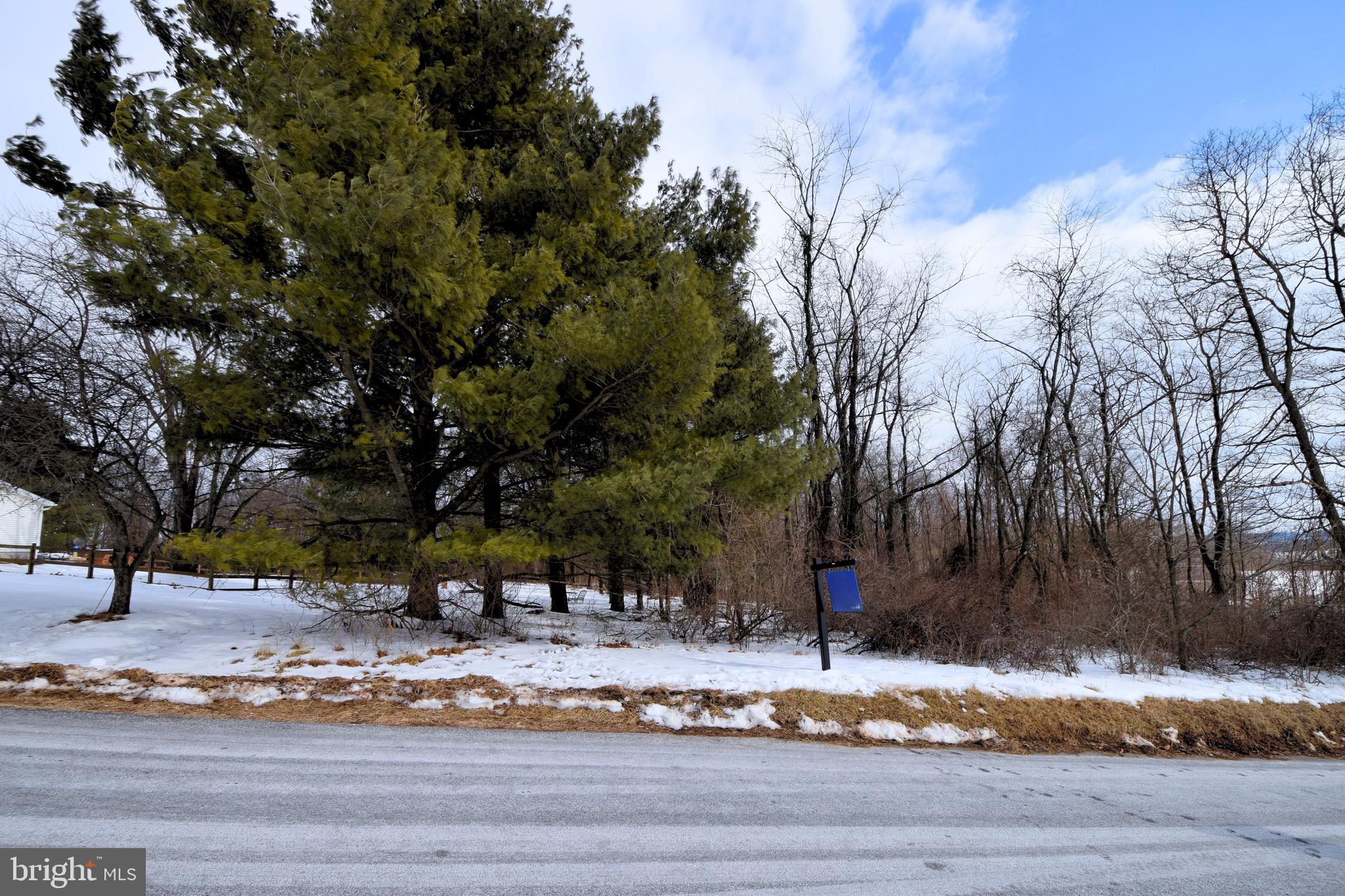 Bert Fowler Manchester, MD 21102 - Photo 4 of 8