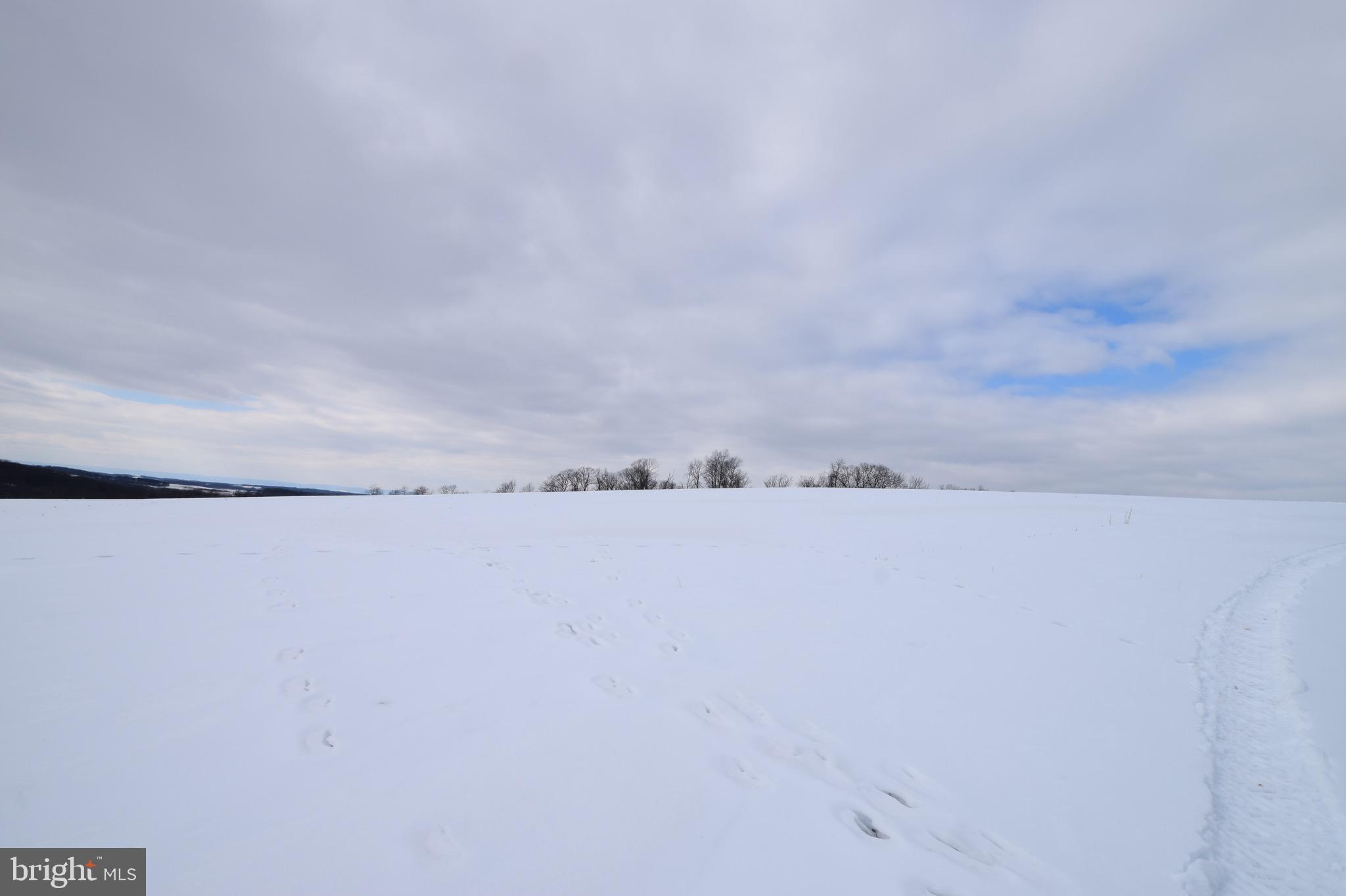 Bert Fowler Manchester, MD 21102 - Photo 6 of 8