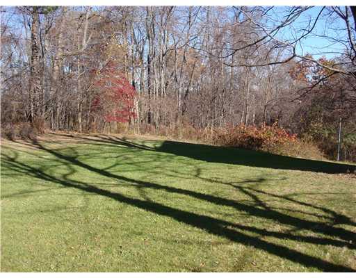 421 Ridge Road Valencia, PA 16059 - Photo 16 of 18 Yard/Garden.