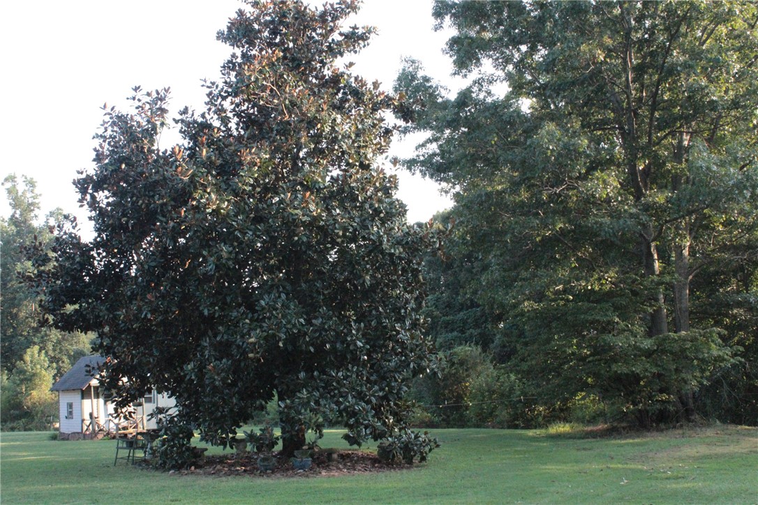 112 Murphy Hill Road Belton, SC 29627 - Photo 4 of 20